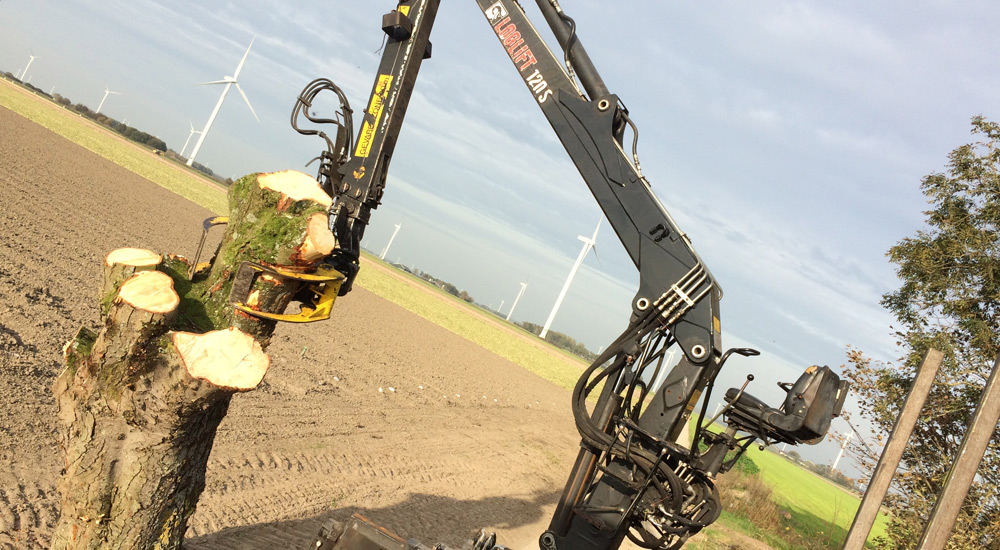 Veilig met hoogwerker bomen snoeien