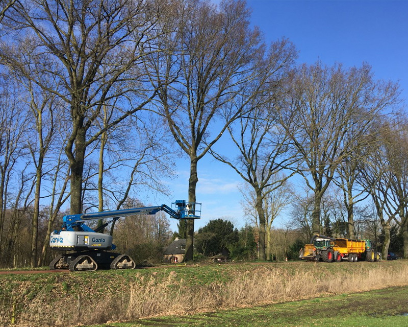 met een hoogwerker bomen snoeien
