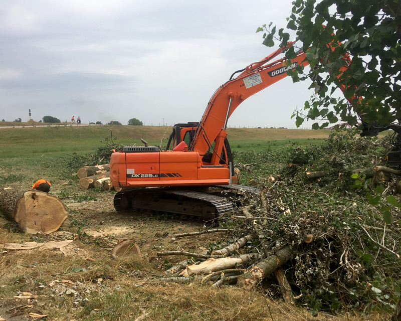 boomrooierijen