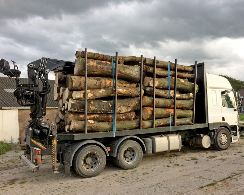 transport boomstammen zeewolde