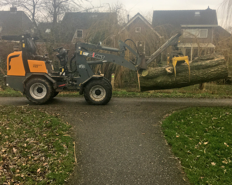 bomen rooien en snoeien nijmegen