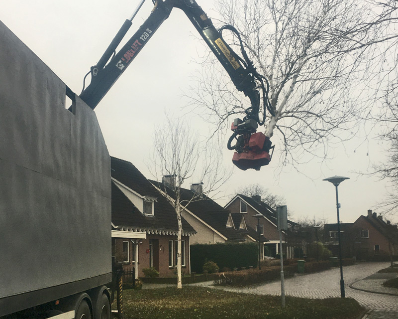 bomen kappen met zaagunit bunschoten