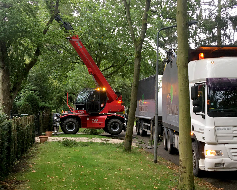 preventief bomen rooien en snoeien
