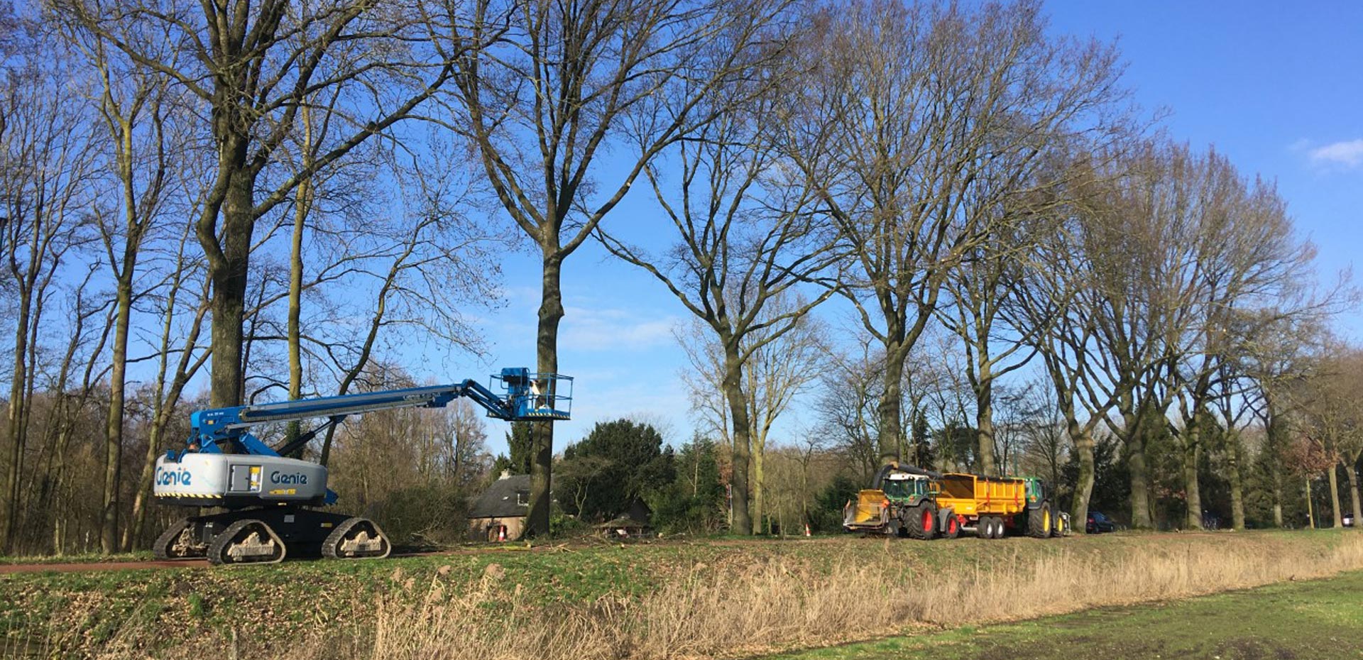 boom snoeien met hoogwerker